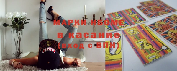 гидра Володарск