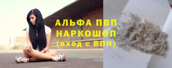 гидра Володарск