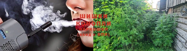 гидра Володарск