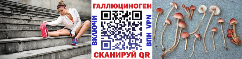 Псилоцибиновые грибы MAGIC MUSHROOMS  Орехово-Зуево 